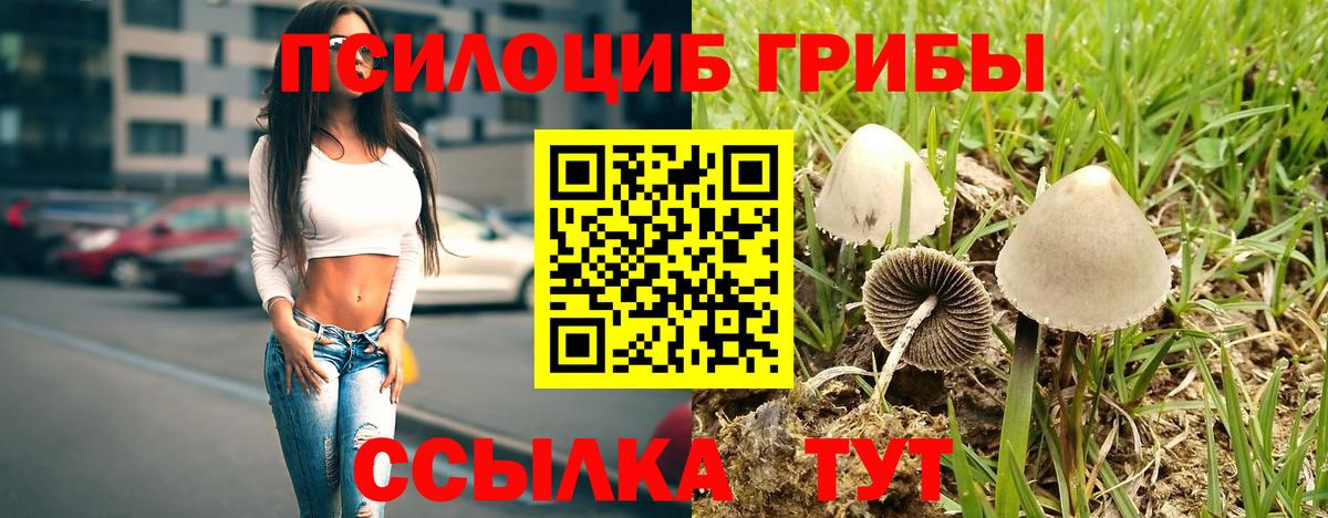 Ртищево  Псилоцибиновые грибы MAGIC MUSHROOMS  Вход с VPN  Галлюциногенные грибы Psilocybine cubensis 