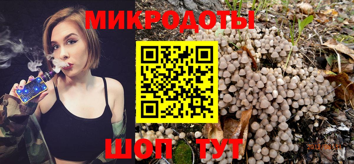 Галлюциногенные грибы прущие грибы Ртищево